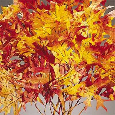 Oak Leaves - Autumn - 25 1 lb Bundles