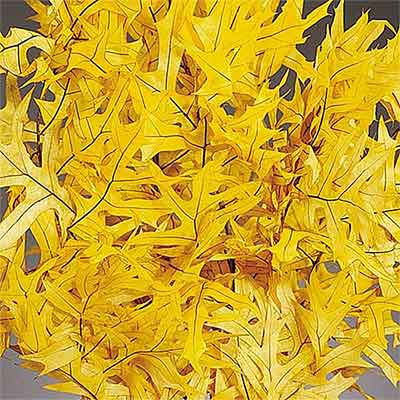 Oak Leaves - Yellow - 25 1 lb Bundles