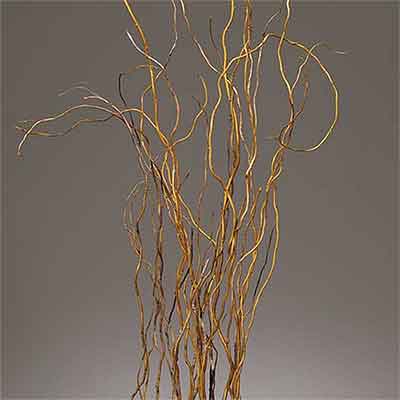 Natural Curly Willow, 3-4 Feet, 144 Branches