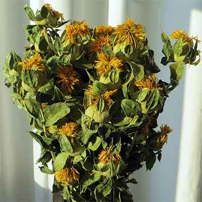 Dried Safflower, 20 Bunches, Yellow