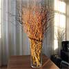 Fresh Curly Willow Branches, 100, Red