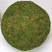 Moss Balls 12 inch