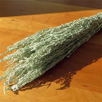 Dried Silver King Artemisia, 20 Bunches
