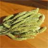 Setaria Dried Grass Bundles