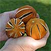 Decorative Slit Dried Oranges Bulk for Sale