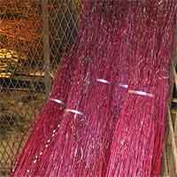 Red Dogwood Branches, 100 Branches, 4-5'