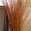 Flame Willow Branches, 150 Branches, 4'