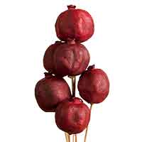 Stemmed Dried Pomegranates 12 Bundles