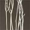 Mitsumata Branches Bleached