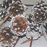 Pinecones Austriaca Frosted on Pick 100