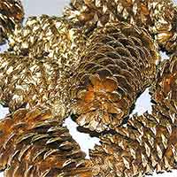 Pinecones Gold 3-4 inches  100 Cones