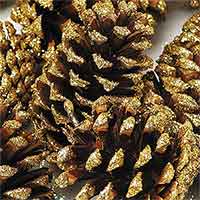 Pinecones Gold Sparkle Tipped 144 Cones