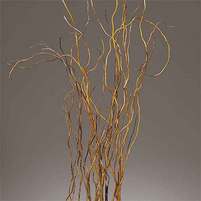 144 Curly Willow Branches, Natural