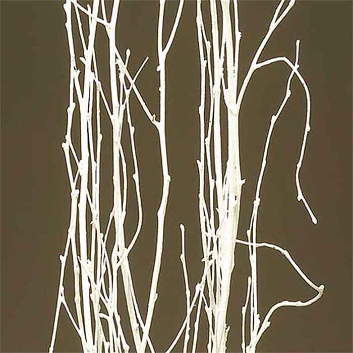 White Birch Branches, 21 assorted pieces varying is length from 2 inches to  about 10, with diameters from 1/4- 2 inches