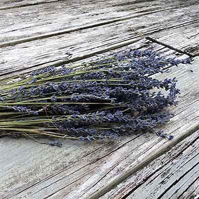 French Dried Lavender, 16 Bunches