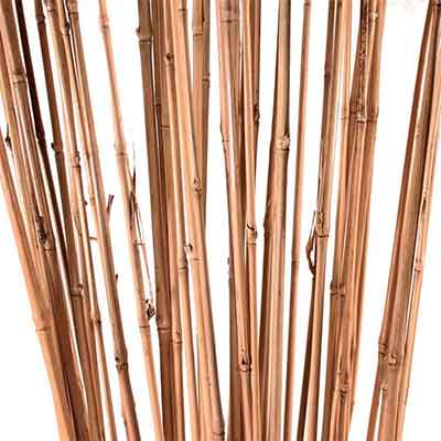 Bamboo Sticks 4 Feet Natural