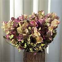 Oregano Flowers - Kent Beauty, 20 Bunches