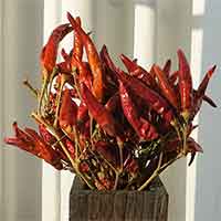 Chili Peppers, 20 Bunches