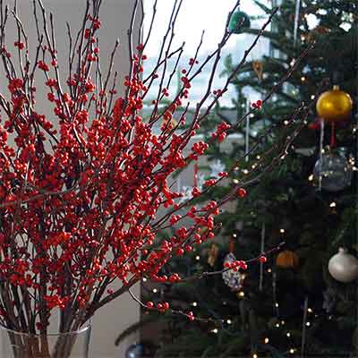 Winterberry Branches, 8 Bundles, 30-40"